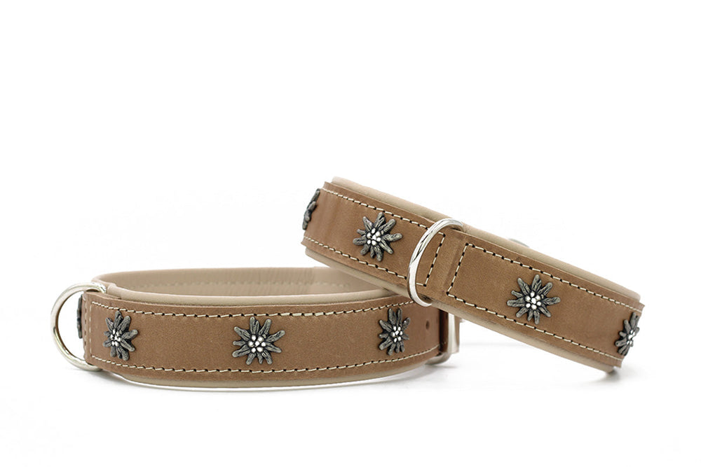 Halsband Alpenruf: Zwei braune Hundehalsbänder mit floralen Metallapplikationen und klassischem Schnallenverschluss.