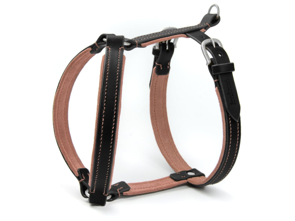 Schwarzes und braunes Hundegeschirr aus Leder mit praktischen Schnallen und D-Ringen, dekorative helle Nähte.