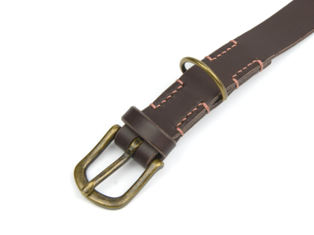 Braunes Lederhalsband mit messingfarbener Schnalle und auffälliger heller Naht, ideal für stilbewusste Hunde.