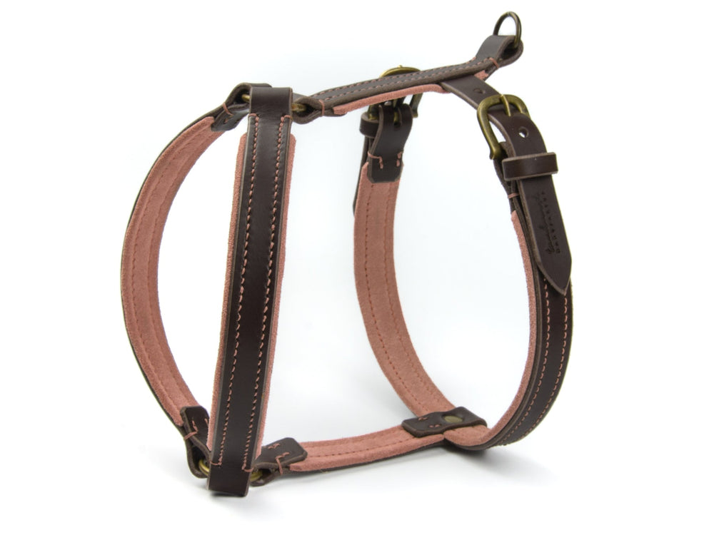 Braunes Ledergeschirr WILDFANG für Hunde mit gepolsterter Innenseite und stabilen metallenen Verschlüssen.