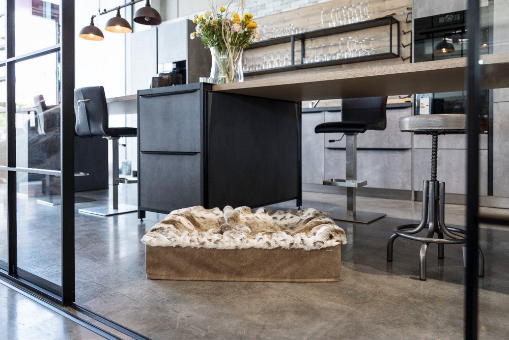 Bequemes Hundebett Buddelbox® in modernem Küchen- und Essbereich mit stilvollem, hellem Ambiente.