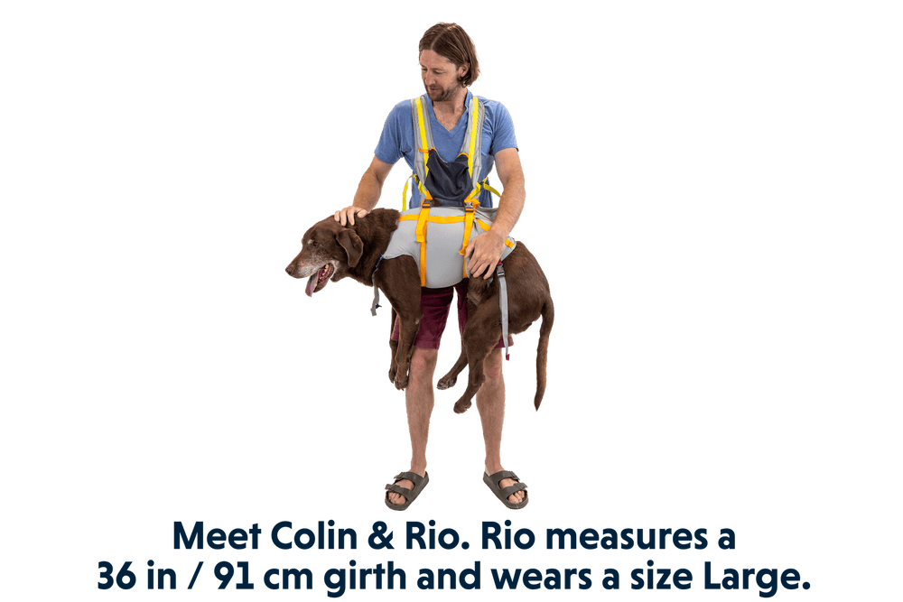 Mann mit braunem Hund im BackTrak™ Evakuierungsset – ideal für Notfälle und sicheres Transportieren großer Rassen.