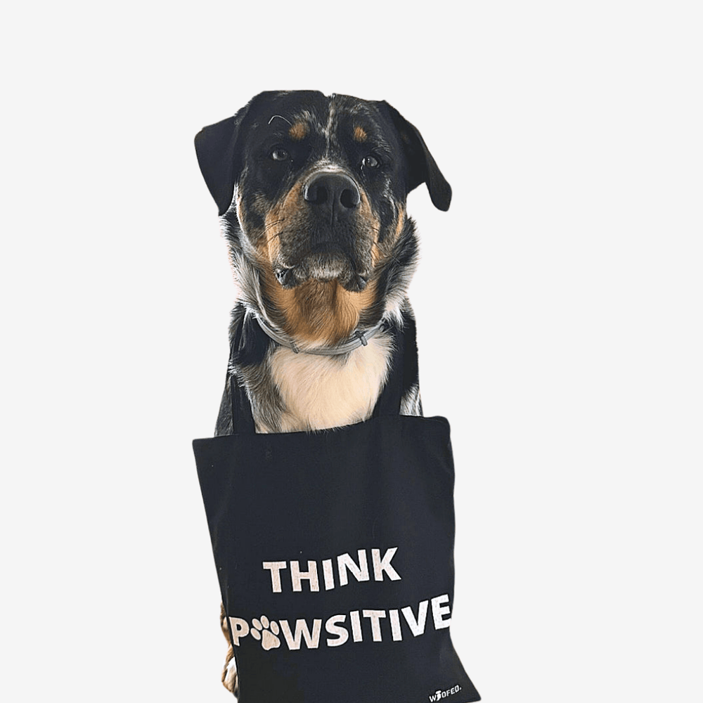 Baumwolltasche "Think Pawsitive" mit Hund und motivierendem Schild, ideal für Hundeliebhaber und umweltfreundlich.