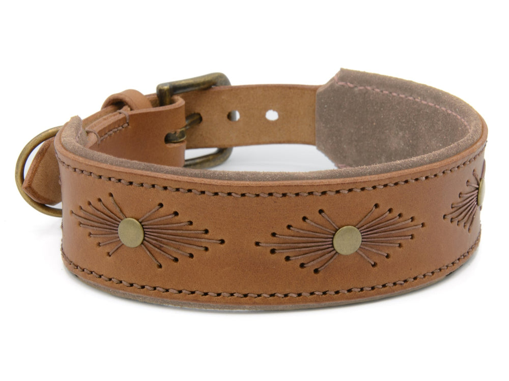 Braunes Lederhalsband WOODSTOCK mit gestickten Sonnenstrahlen-Mustern und brassfarbener Schnalle, ideal für stylische Hunde.
