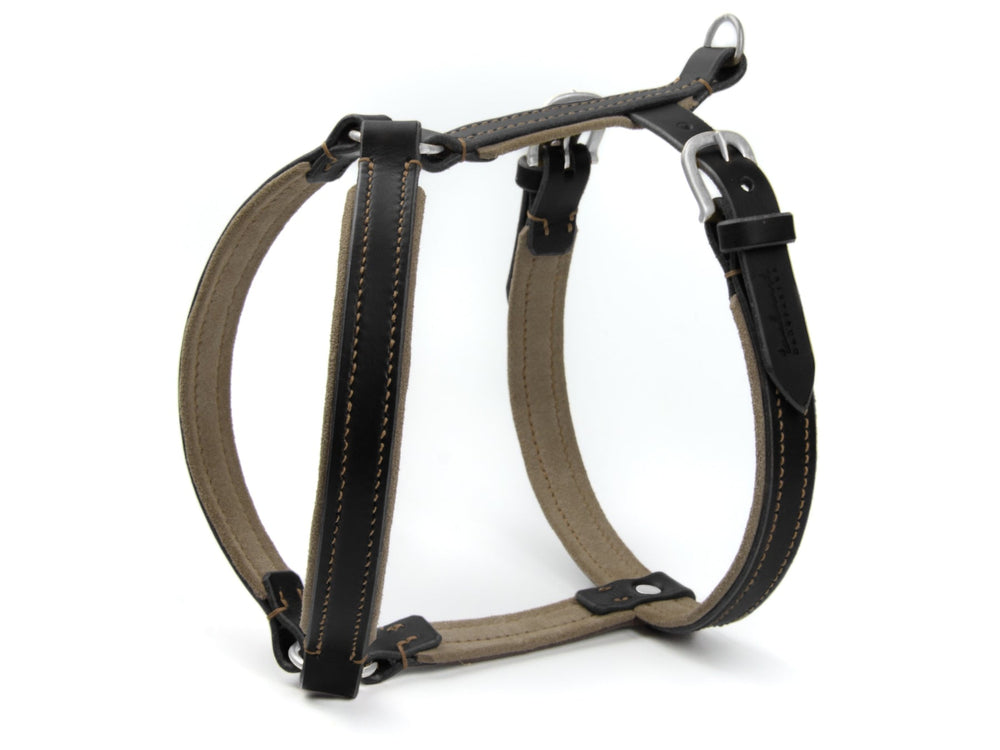 Hundegeschirr WILDFANG aus Leder und robustem Gewebe mit verstellbaren Riemen und stabilen Metallbeschlägen.