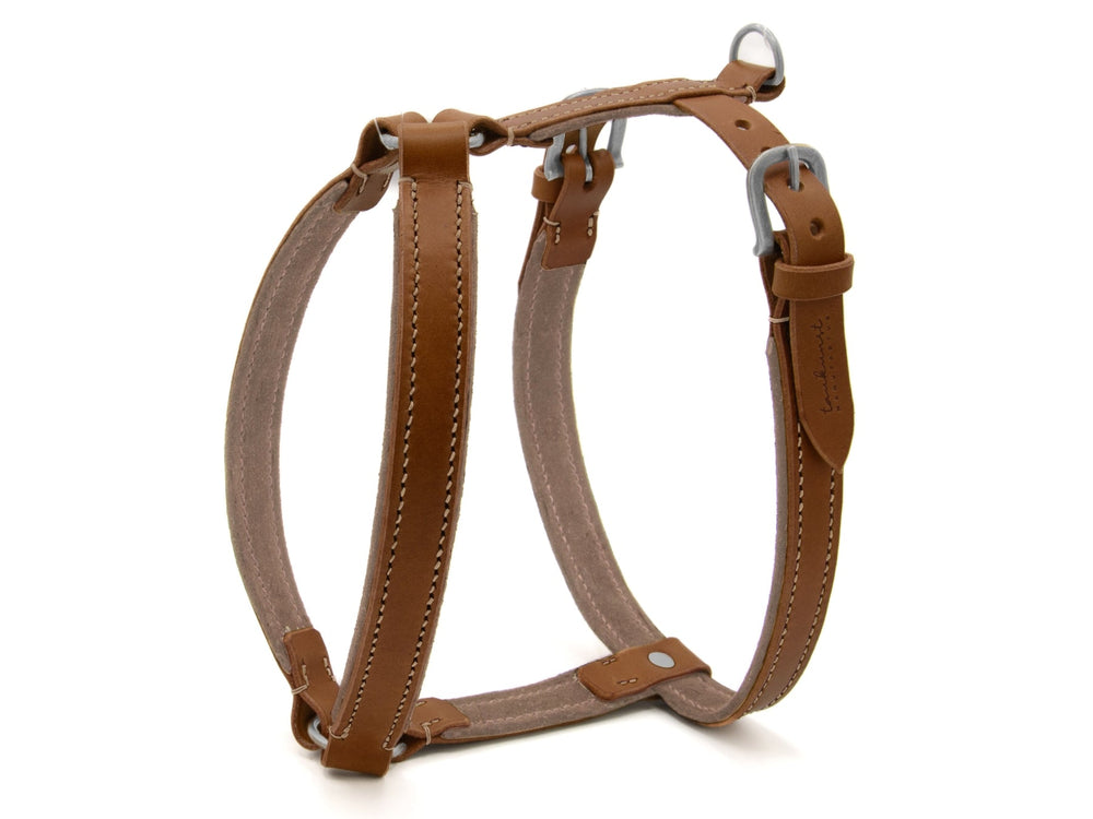 Braunes Ledergeschirr WILDFANG für Hunde mit verstellbaren Trägern und robusten Metallbeschlägen.