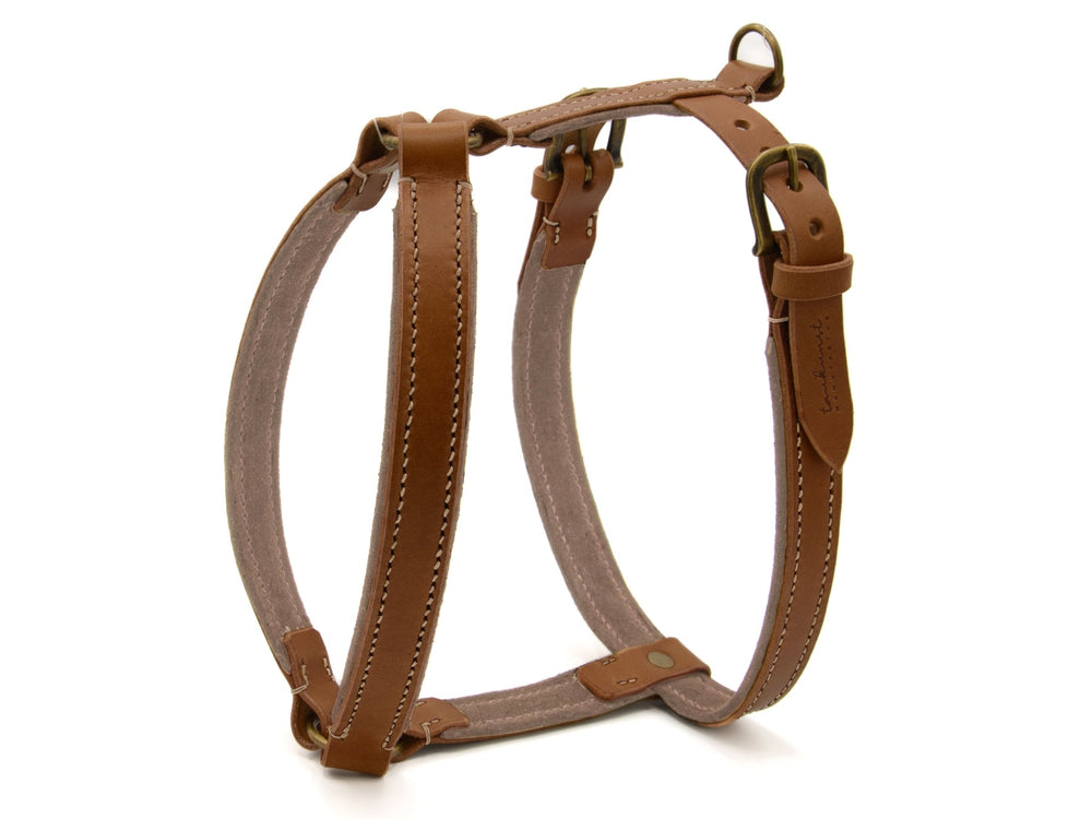 Braunes Ledergeschirr WILDFANG für Hunde mit verstellbaren Riemen, robusten Schnallen und hochwertigen Nähten.