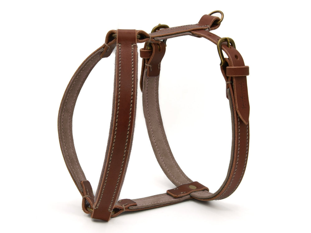 Braunes Ledergeschirr WILDFANG für Hunde, ergonomisch, gepolstert und mit verstellbaren Schnallen für optimalen Tragekomfort.