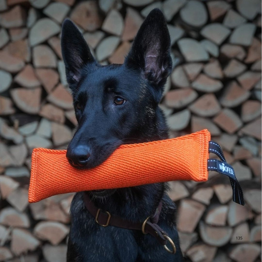 Schwarzer Hund mit orangefarbener Beißwurst vor Holzscheiten, ideal für Spiel und Training, robust und griffig.