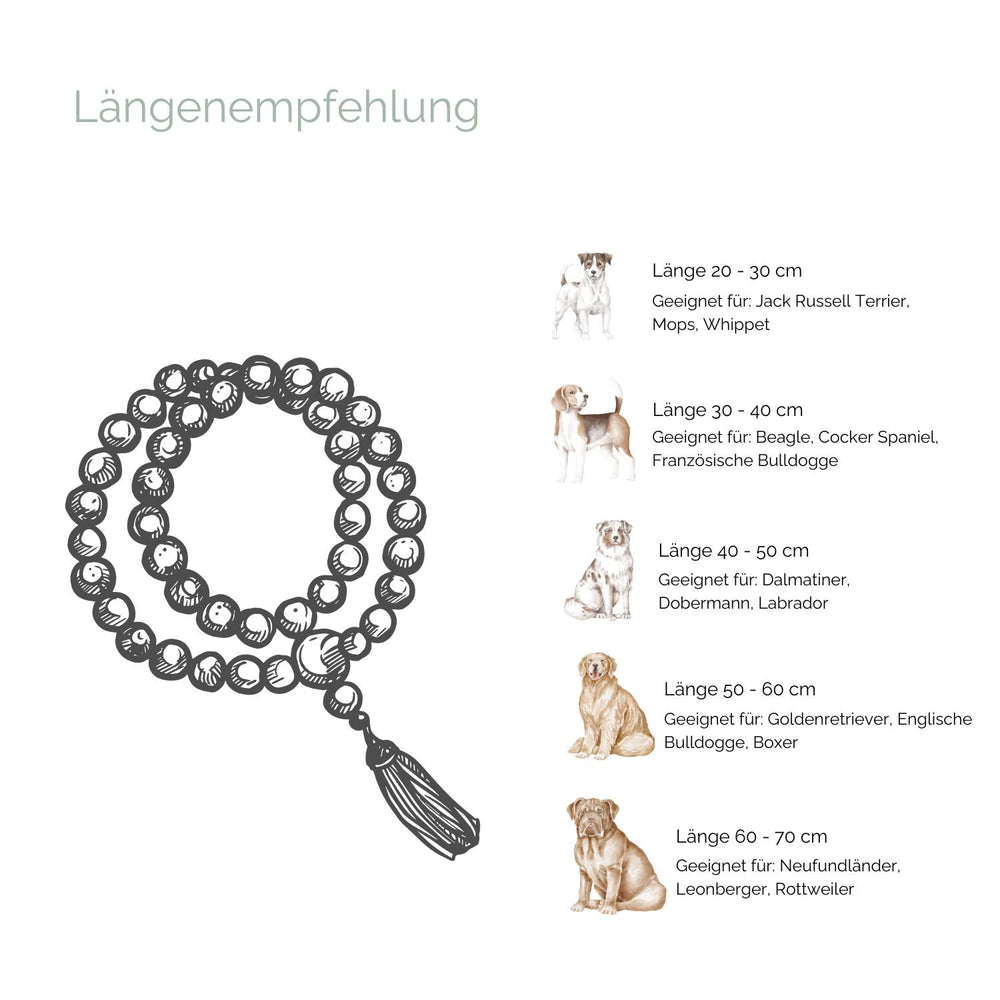 Grafik mit Längenempfehlungen für Halsbänder und Leinen von 20-70 cm, illustriert mit passenden Hunderassen.