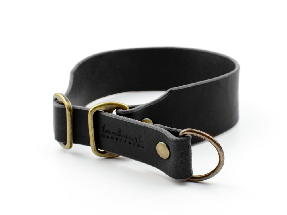Schlichtes schwarzes Lederhalsband mit Metallschnalle und D-Ring für Leine oder Anhänger, minimalistisch im Design.