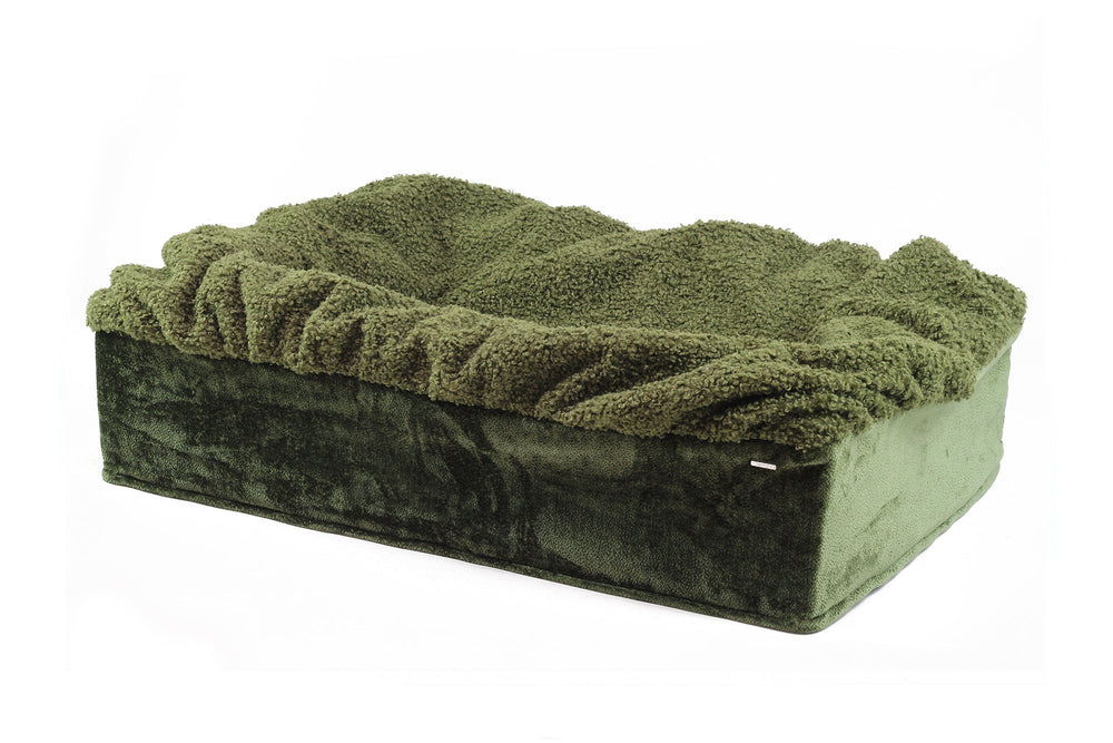 Rechteckiges Hundebett Buddelbox® mit weicher, grüner Polsterung und erhöhtem Komfortrand. Ideal für entspannte Tiermomente.