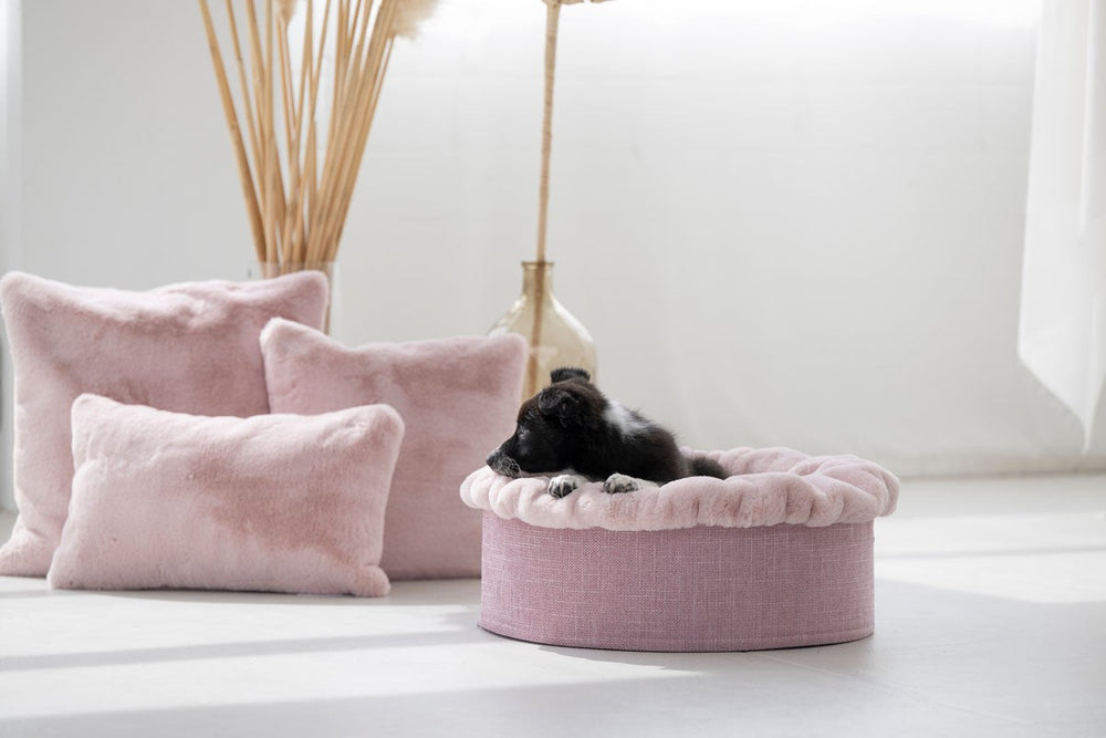 Kleines rundes Hundebett Buddelnest® in zartem Rosa mit gemütlichem Hund und Kissen im Hintergrund.