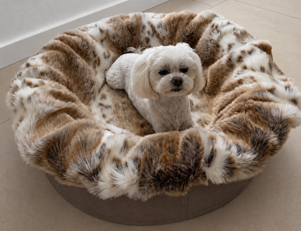 Kleiner Hund sitzt in einem runden, plüschigen Hundebett Buddelnest® in Braun- und Beigetönen, komfortabel und weich.