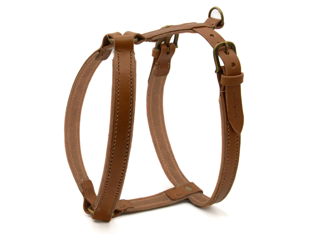 Braunes Lederhundegeschirr WILDFANG mit robustem Design, verstellbaren Riemen und hochwertigen Metallbeschlägen.