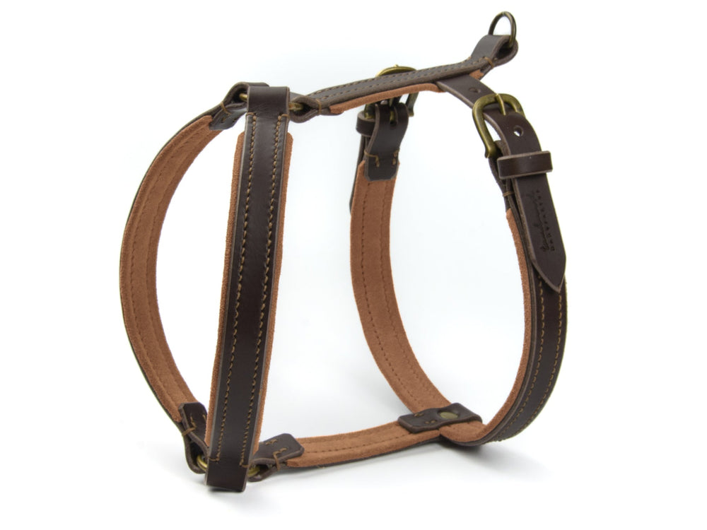 Braunes Ledergeschirr WILDFANG für Hunde, gepolstert und mit bronzefarbenen Beschlägen, einfach und komfortabel anzulegen.