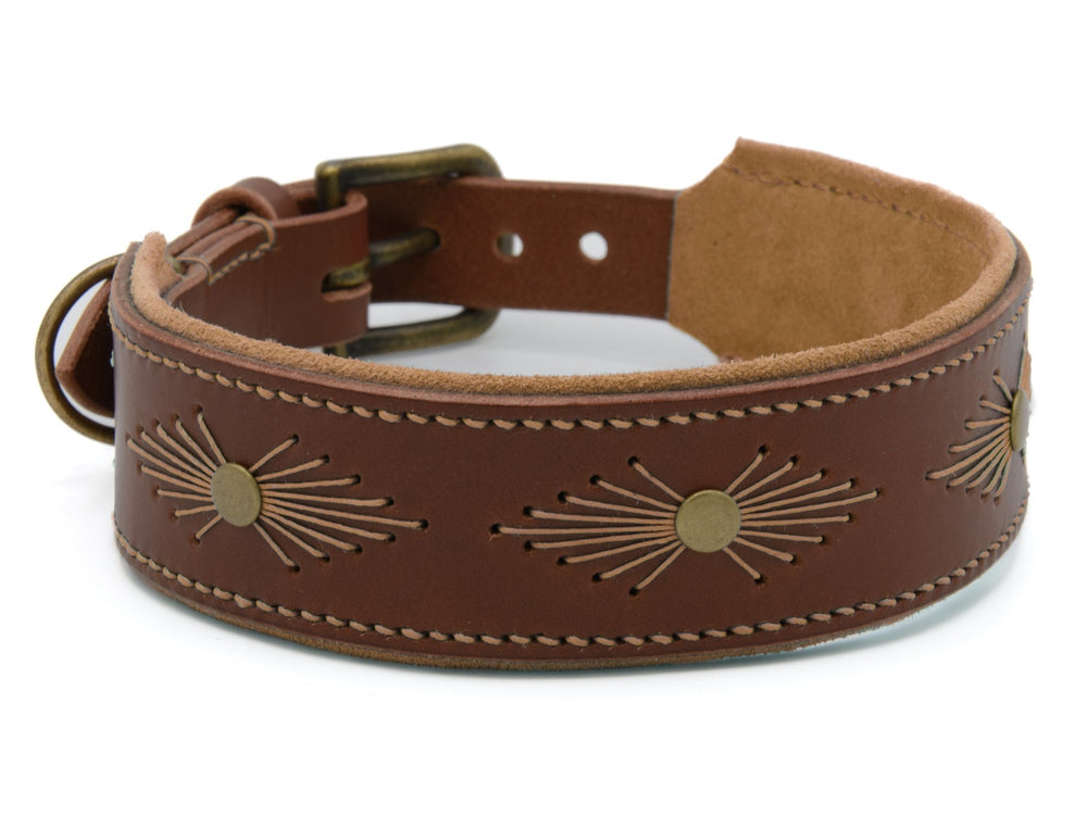 Braunes Lederhalsband WOODSTOCK mit breiter Polsterung und dekorativen Metallnieten für Hunde.