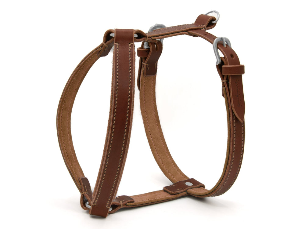 Braunes Ledergeschirr WILDFANG mit silbernen Metallelementen und stabilen, verstellbaren Riemen. Ideal für anspruchsvolle Hunde.