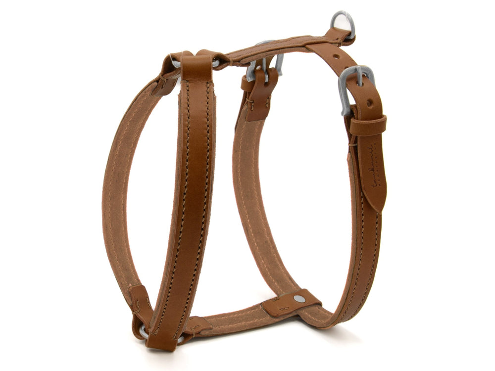 Braunes Ledergeschirr WILDFANG für Hunde mit verstellbaren Riemen und robusten Metall-Schnallen, stilvoll und langlebig.