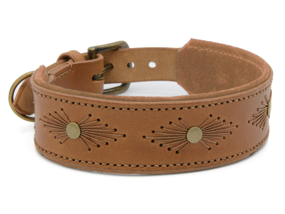 Braunes Lederhalsband mit goldfarbenen Stern-Nieten und einfacher Schnalle zur Größeneinstellung.