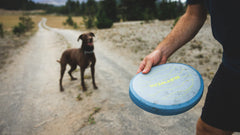 Camp Flyer™ Frisbeescheibe für Hunde