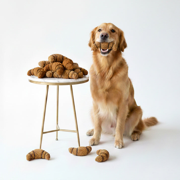 Golden Retriever spielt mit Croissant-Spielzeugen auf einem runden Tisch, eines im Mund, Spaß und Freude pur.