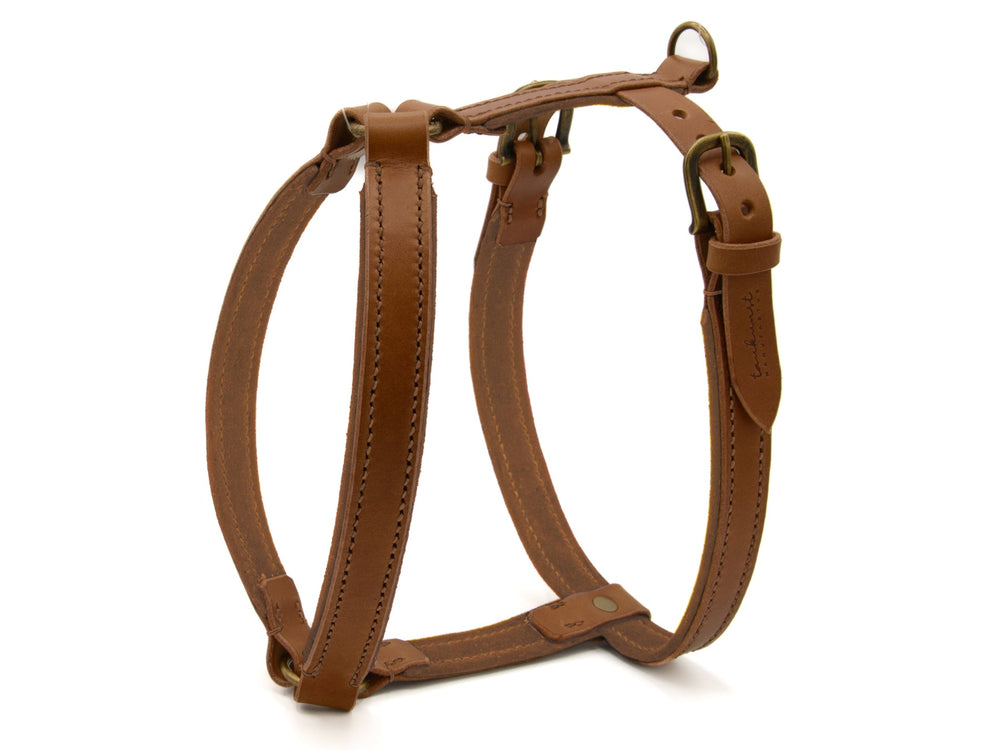 Braunes Ledergeschirr WILDFANG für Hunde mit verstellbaren Riemen und eleganten Metallbeschlägen.