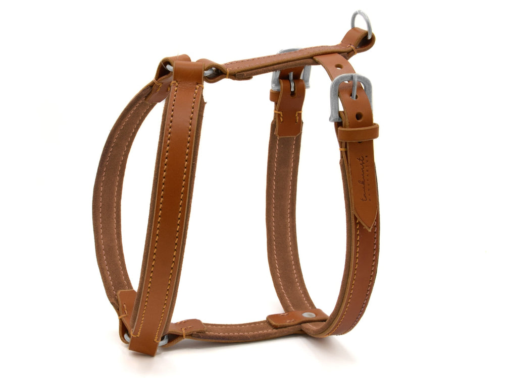 Braunes Ledergeschirr WILDFANG für Hunde mit robusten Metallbeschlägen und verstellbaren Gurten für optimale Passform.