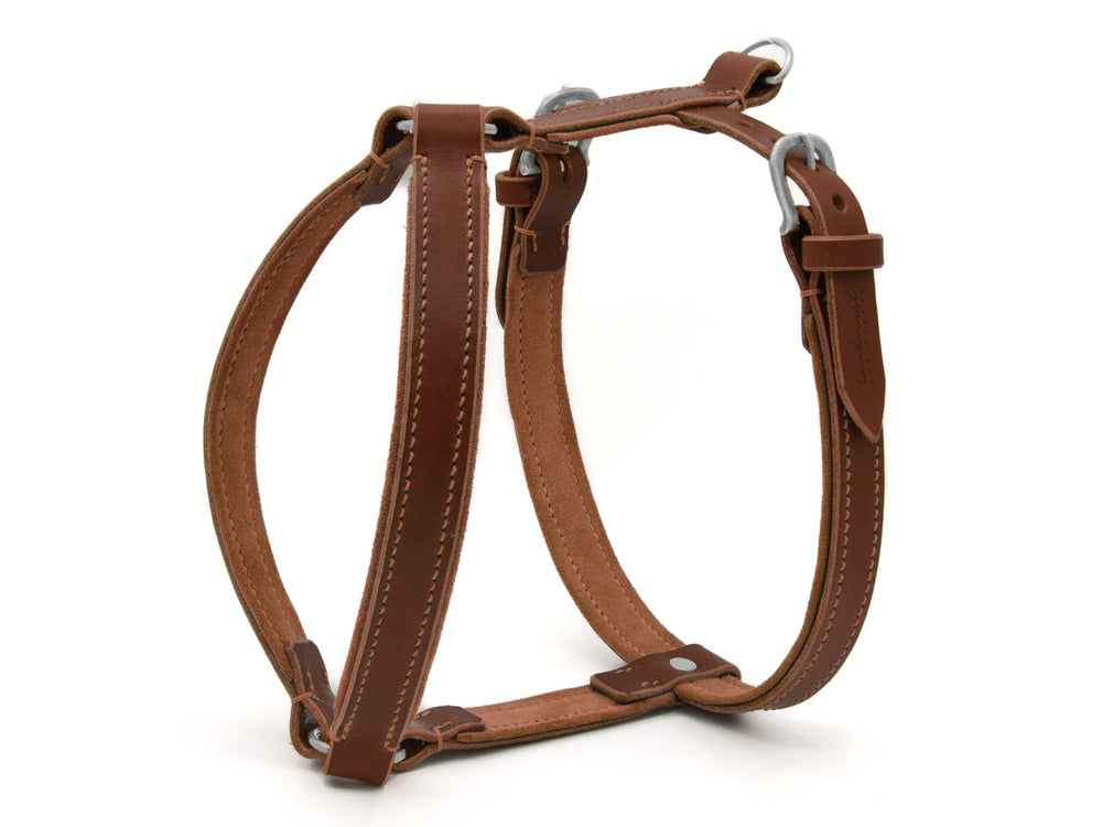 Braunes Ledergeschirr WILDFANG für Hunde mit robusten metallenen Beschlägen und eleganten Nähten. Ideal für jeden Hund.