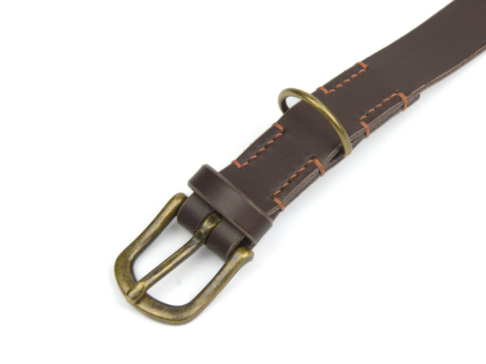 Braunes Lederhalsband mit antik goldener Schnalle und orangefarbener Naht, ausgestattet mit Halbring zur Befestigung.