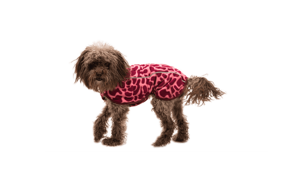 „Hund trägt pinke Fleeceweste mit Tierfellmuster vor schwarzem Hintergrund.“