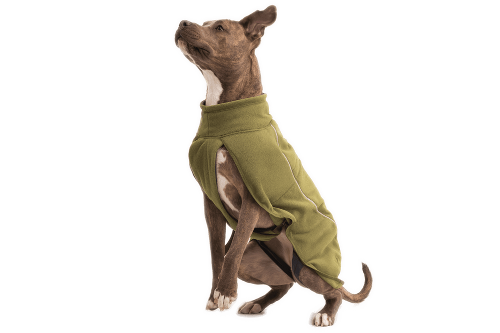 Hund in olivgrüner Climate Changer™ Fleeceweste sitzt aufmerksam seitlich. Hoch geschnitten, enganliegend, schützende Bekleidung.