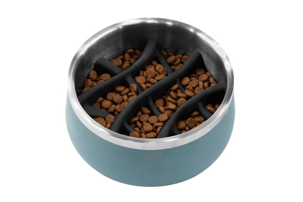 "Hellblauer Basecamp™ Slow Feeder Futternapf mit metallischem Rand und Fütterungstrenner für Haustiere."