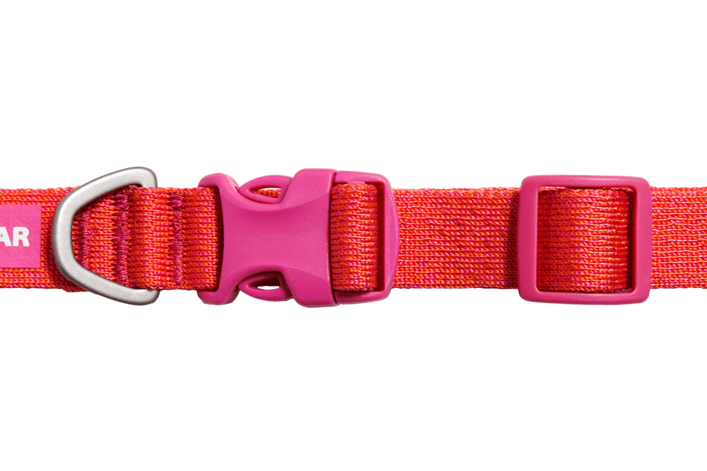 "Pinkes Front Range™ Flex Hundehalsband aus strapazierfähigem Stoff mit D-Ring und Schnalle für sicheren Halt."