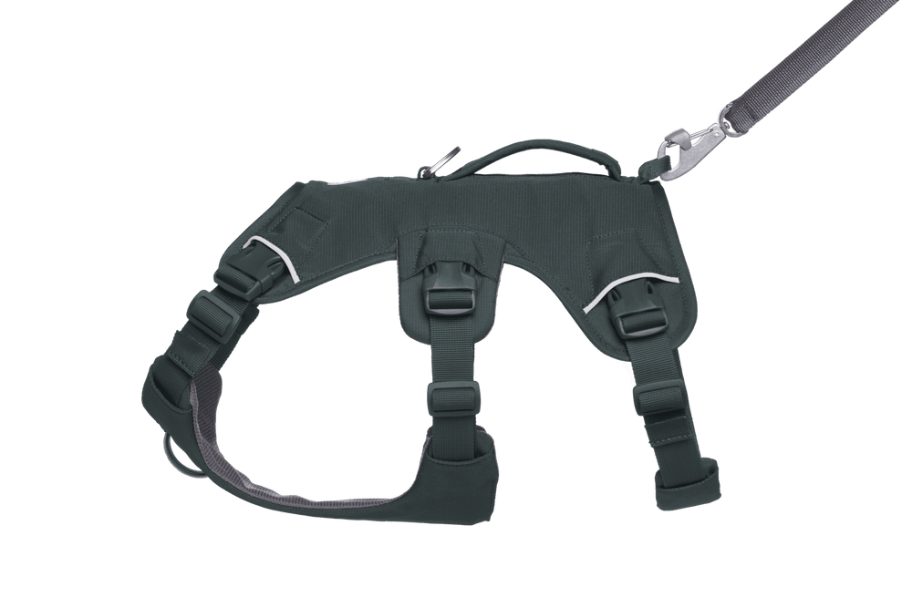 "Dunkelgraues Web Master™ Hundegeschirr mit anpassbaren Gurten und Karabinerhaken für optimale Sicherheit und Komfort."