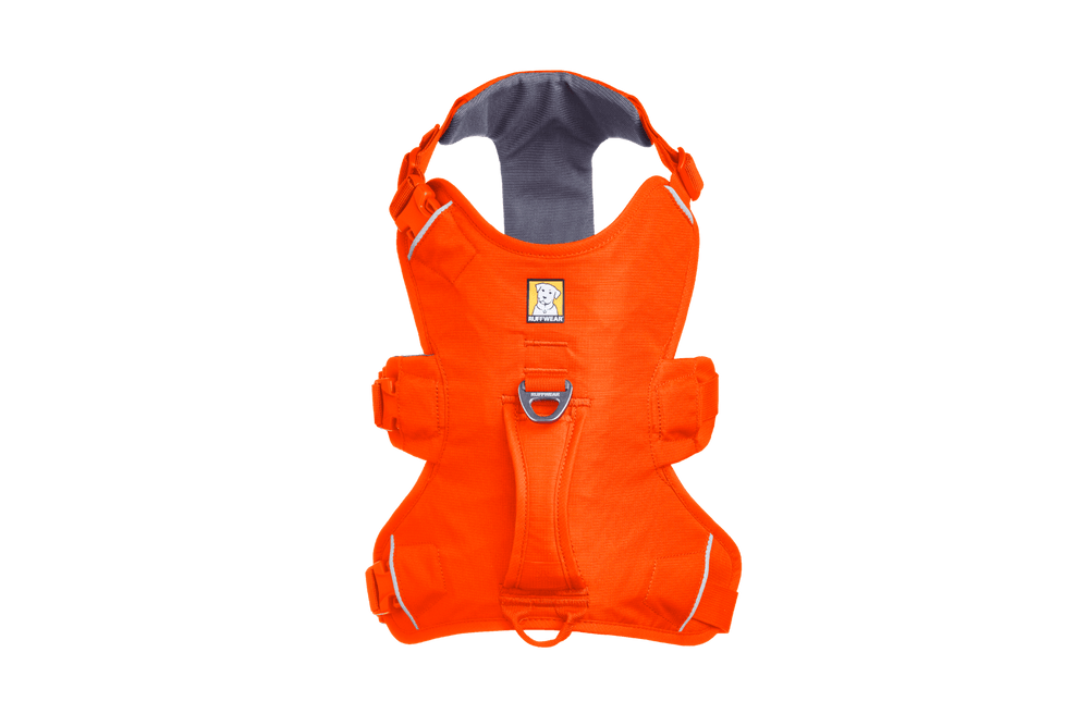 Orangefarbenes Web Master™ Hundegeschirr mit verstellbaren Gurten und Handgriff, ideal für Sicherheit und Sichtbarkeit.