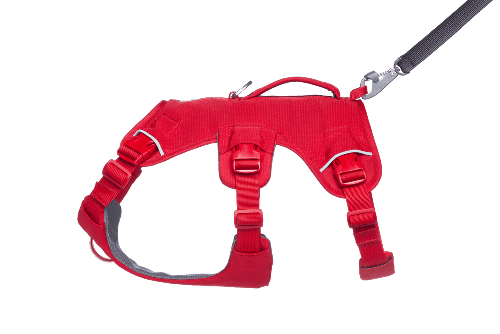 Rotes, ergonomisches Hundegeschirr mit verstellbaren Riemen, robustem Material und D-Ring zur Leinenbefestigung.