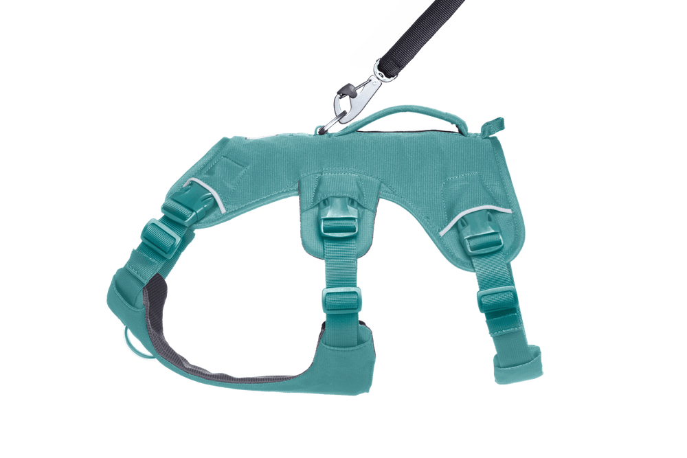 Ergonomisches aqua-türkis Hundegeschirr Web Master™ mit verstellbaren Riemen und praktischer Griffschlaufe.