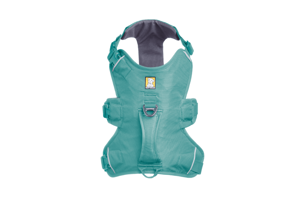 Turquoise Web Master™ Hundegeschirr mit Griff, verstellbaren Riemen und zwei Taschen, gepolstert für Komfort.