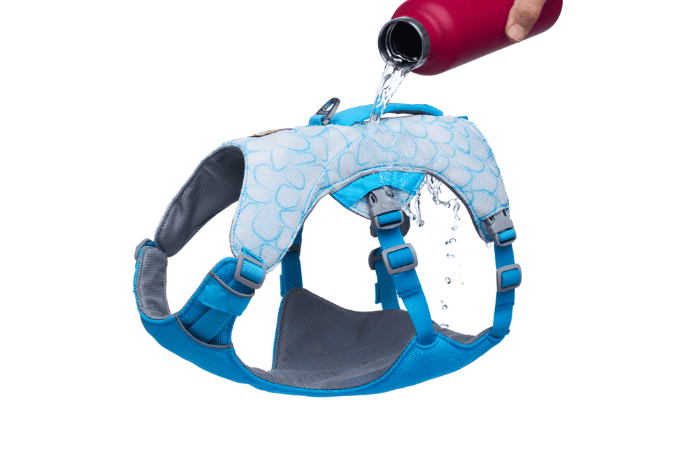 "Swamp Cooler™ Kühlgeschirr für Hunde in Blau, zeigt Wasserübertragung für einfache Reinigung und Kühlung."