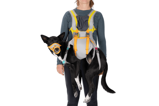 BackTrak™ Evakuierungsset für Hunde