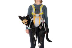 BackTrak™ Evakuierungsset für Hunde