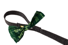 Front Range™ Flex Leash