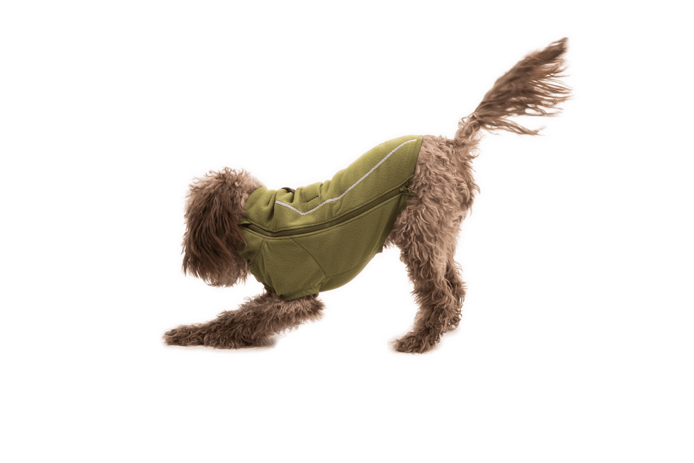 Hund in olivgrüner Fleecejacke von Climate Changer™ in dynamischer Pose mit aufgerichtetem Schwanz.