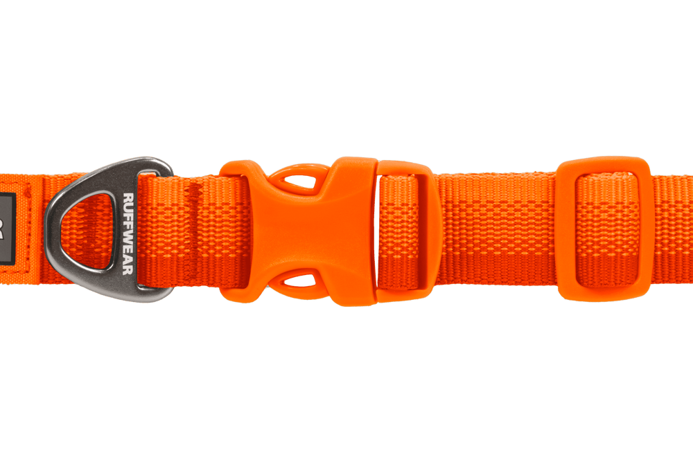 Orangefarbenes Front Range™ Hundehalsband aus robustem Material mit stabilem Metallring und verstellbarem Kunststoffverschluss.