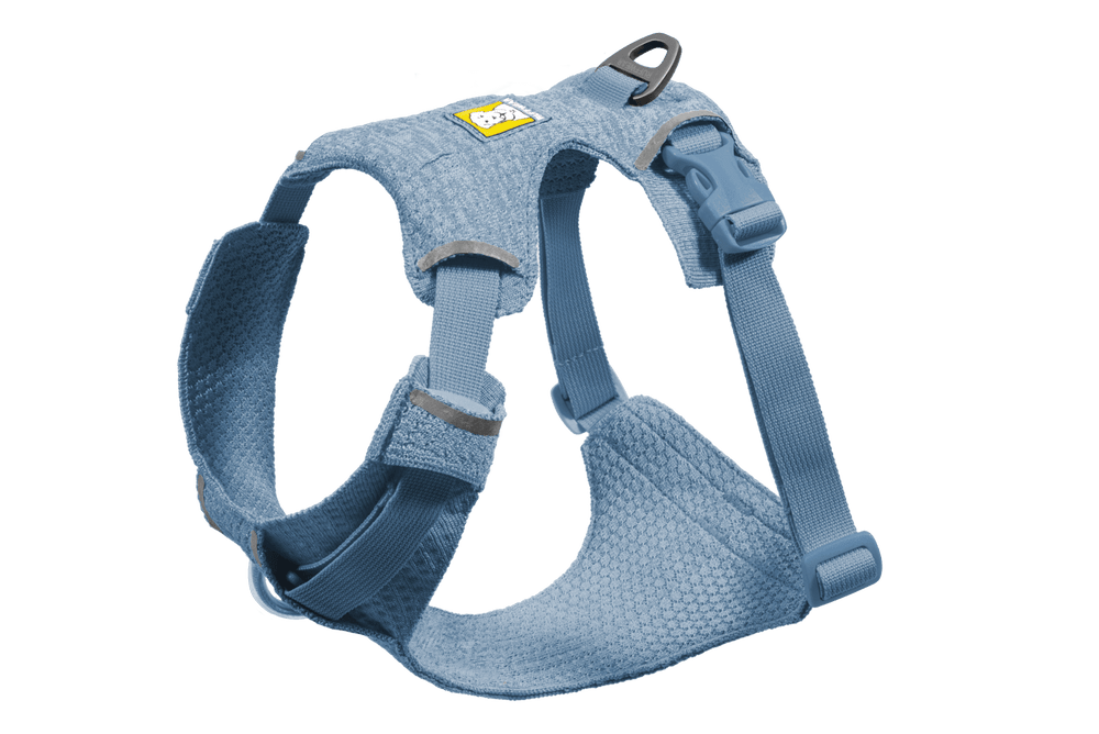 Hellblaues Front Range® Flex Hundegeschirr mit verstellbaren Trägern und gepolstertem Brustbereich für optimalen Komfort.