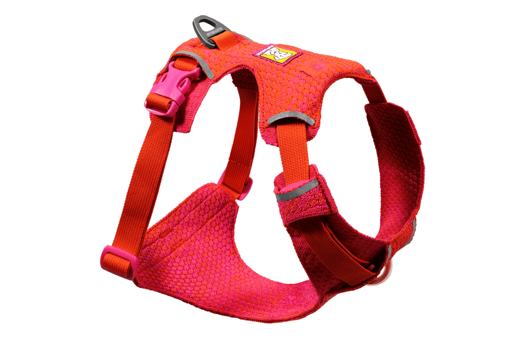 Leuchtendes Front Range® Flex Geschirr für Haustiere in Pink und Orange mit verstellbaren Riemen und Metallring.