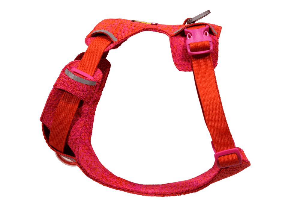 Farbenfrohes Front Range® Flex Hundegeschirr in Pink und Rot mit gepolsterten Bereichen und ergonomischem Design.