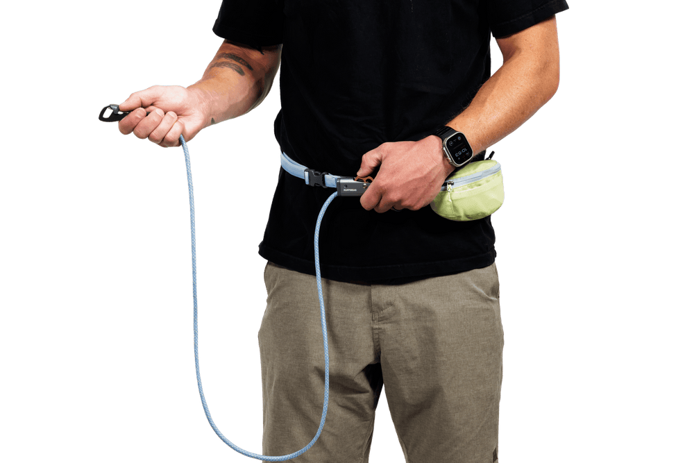 Person mit Gürtel und gelber Tasche, die eine Leine mit Karabiner für das Hitch Hiker™ Leinensystem hält.