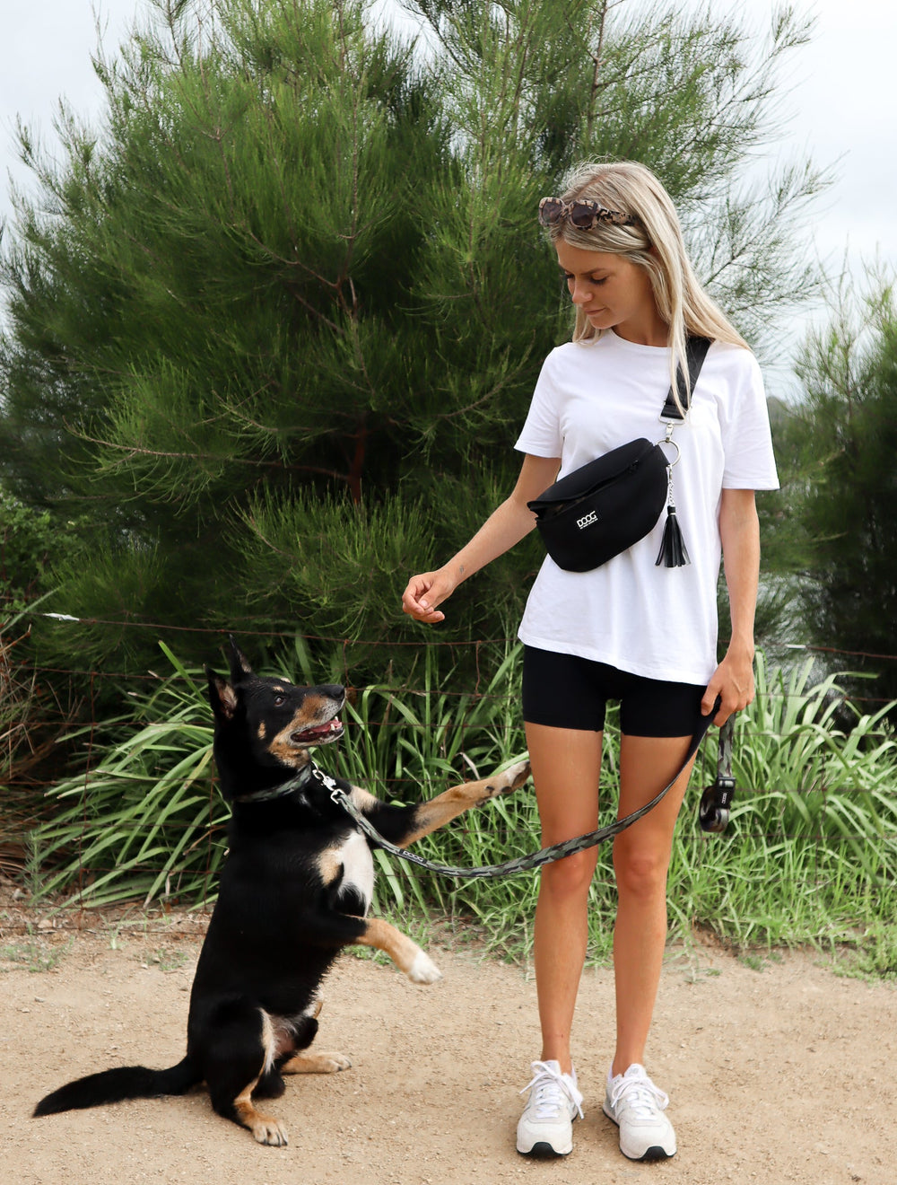 Junge Frau mit Hund an Clip-It Leine, der Hund steht auf den Hinterbeinen und erhält ein Leckerli.